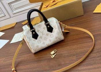 Louis Vuitton Speedy Bandoulière 20 Handbag